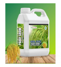 Paddy Grow - Paddy Microbial Consortia (PMC) 5 Litre